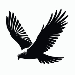 Obraz premium vector silhouette of a harrier bird gliding low, broad wings and tail, minimal style, white background 