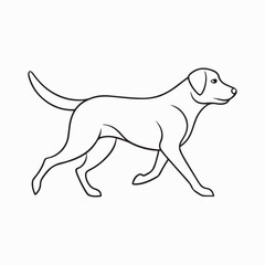 labrador retriever dog Vector Art illustration