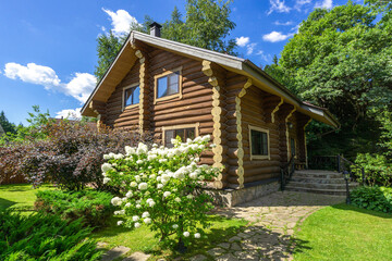 A charming wooden cabin stands amidst vibrant greenery, with lush bushes and bright flowers blooming nearby. The scene captures a tranquil outdoor setting under a clear blue sky.