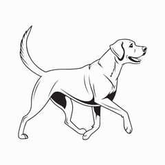 Fototapeta premium labrador retriever dog Vector Art illustration