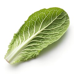 Fototapeta premium Fresh Savoy Cabbage Leaf Detailed Veins Isolated On White Background
