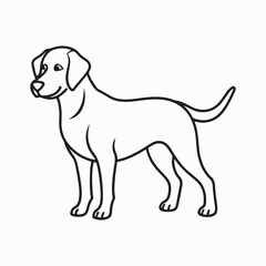 labrador retriever dog Vector Art illustration