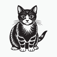 Obraz premium domestic shorthair cat Vector Art illustration