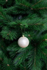 Sparkling gold ornament hanging on lush green Christmas tree branches
