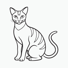 Obraz premium domestic shorthair cat Vector Art illustration