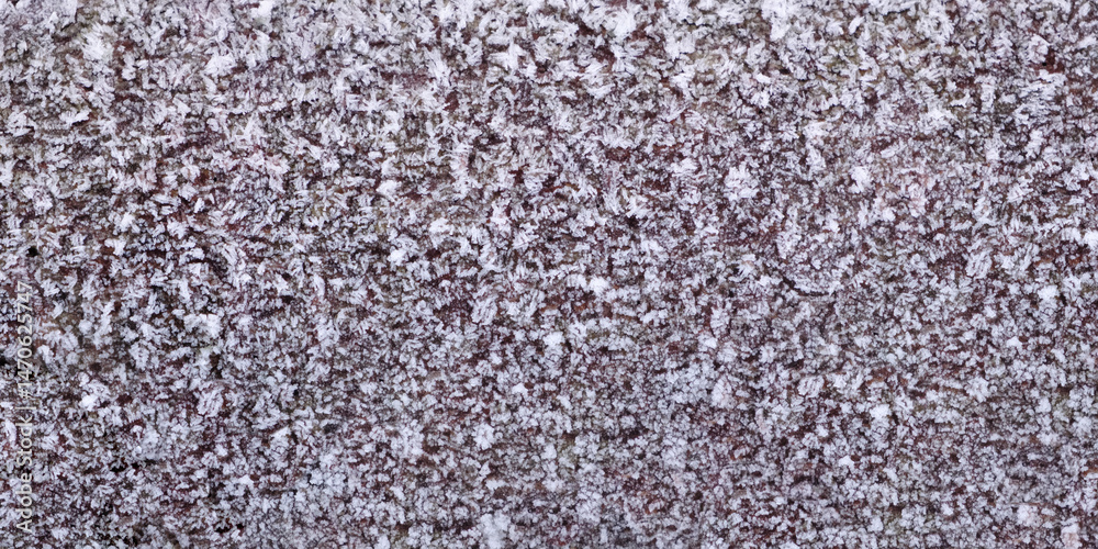 Poster Wooden log with bark covered with frost as texture background for web banner page template