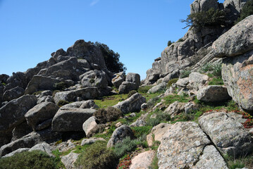 Percorso per l'area archeologica nuragica di Sos Nurattolos