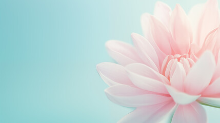Delicate pink lotus flower on a soft blue background. Minimalist floral composition symbolizing purity, beauty, and tranquility. Perfect for spa, wellness, or nature themes.