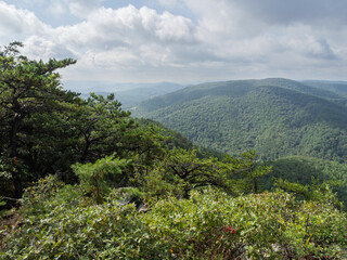The wild and wonderful nature at Cranny Crow Overlook, Lost River State Park, West Virginia.