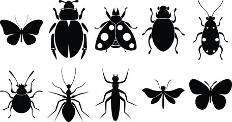 Black silhouette collection of insects including butterflies, beetles, ladybugs, and ants – vector illustration