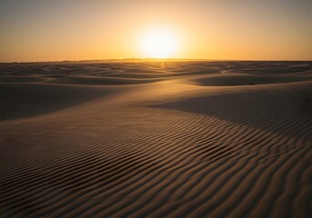 Fototapeta premium Wind-blown dunes in the desert with long shadows at sunset.