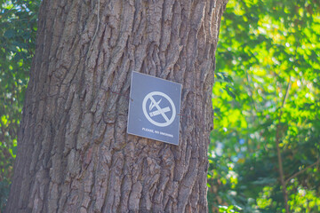 Image shows a No Camping sign on a tree in a park or natural space with green foliage