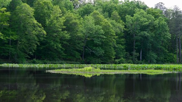 Pocahontas State Park