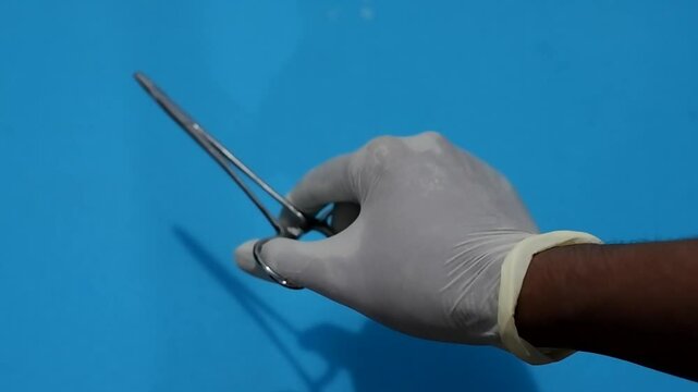 Hand with glove hold surgical forceps on blue background. Surgery instrument medical and healthcare