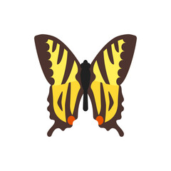 Illustration of a butterfly with brown and yellow wings and an orange dot on each lower wing section