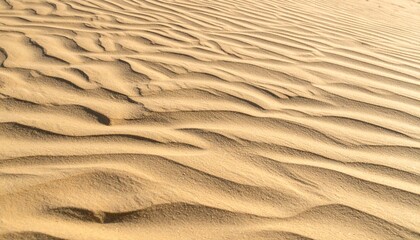 Fototapeta premium 砂丘の風紋を捉えたサンドテクスチャ
