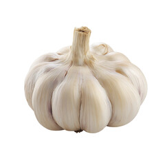 Obraz premium A fresh, single bulb of garlic, ready to be used for cooking and flavor enhancement. This garlic presents a natural, organic aesthetic