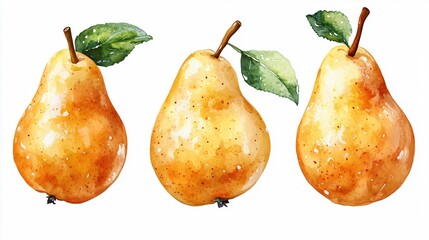Sweet Pears Watercolor Illustration Fruits Set