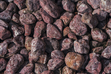 Varied shades of smooth pebbles scattered across a sunlit ground in an outdoor natural setting.