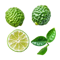 Fresh bergamot limes with leaves arranged on a clean transparent background for culinary use, Bergamot or Thai lime lime fruit on transparent background