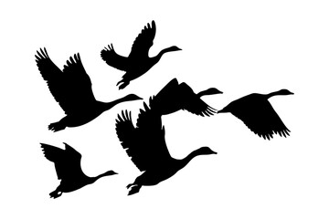 Flock of Geese Flying Silhouette