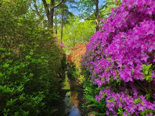 Discover ISABELLA Plantation's Hidden Gems #Isabella #richmondpark