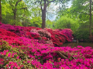 Discover ISABELLA Plantation's Hidden Gems #Isabella #richmondpark