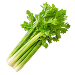 Fresh green celery stalks on a transparent background perfect for culinary use and healthy snacks in various dishes, Celery leaf on transparent background
