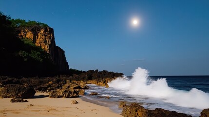 Serene Coastal Landscape at Night Illuminated by Moonlight with Gentle Waves