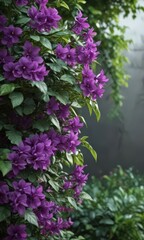 Fototapeta premium Close-up vibrant purple petals, lush green leaves, texture, leaf texture, wildflower