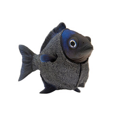 Striking Portrait of a Black and Blue Fish, Close-Up Studio Shot