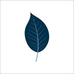 leaf,green,nature modern flat vector for eco friendly design vector graphic for sustainability