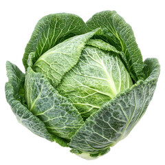 Obraz premium Fresh pointed cabbage on a transparent background showcasing its vibrant green leaves and crisp texture, Pointed cabbage isolated on transparent background
