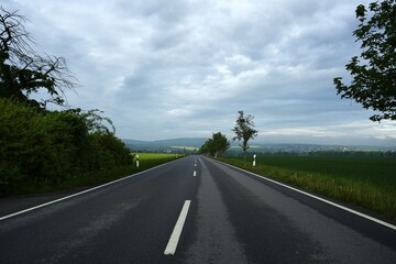 A road disappearing into the distance through a dense forest. A peaceful and captivating nature scene that evokes a sense of journey, exploration, and natural beauty.

