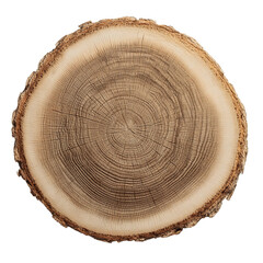 Fototapeta premium A detailed cross-section of a tree trunk showing growth rings