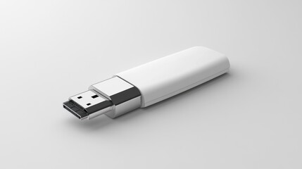 White flash drive (1)