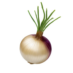 A Fresh Red Onion with Green Sprouts on It