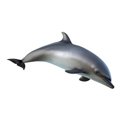 A sleek dolphin swims gracefully, its form a marvel of nature's design. The dolphin's smooth, dark body contrasts with its underbelly, capturing the elegance of marine life