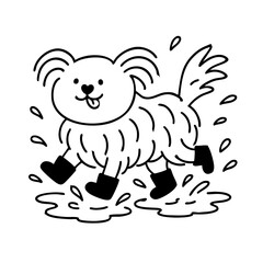 a cute hairy dog play with his boots on dirt water 