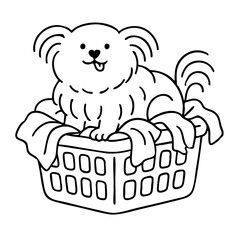a cute hairy dog sit and playing on top laundry basket