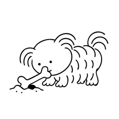 a cute hairy dog burry bone under ground 