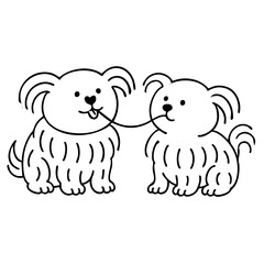 a cute hairy dog eating the last noodle together