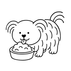 a cute hairy dog eating his food on bowl