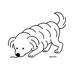 a cute hairy dog do sniff something on in ground