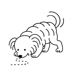 a cute hairy dog do sniff something on in ground