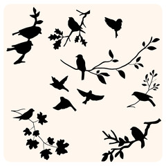 Bird Silhouette Collection on Branches