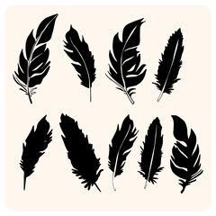 Feather Silhouette Collection with background cream