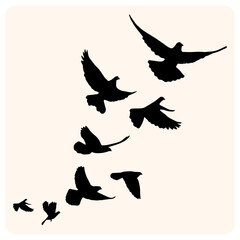 Obraz premium Flying Bird Silhouette Collection with background cream