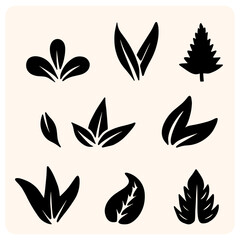 Fototapeta premium Green Leaf and Sprout Collection with background cream