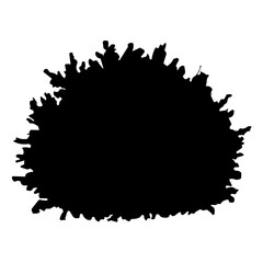 bush bare bush silhouette